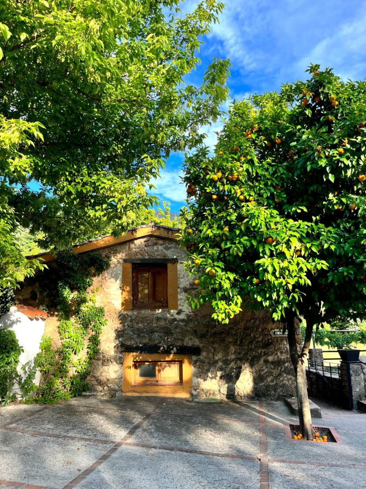 La Caseria Navaconcejo Dış mekan fotoğraf